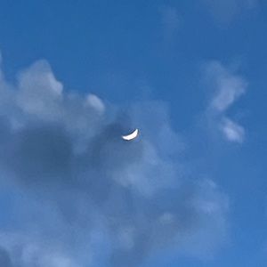 Meet your Posher, Coral